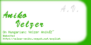 aniko velzer business card